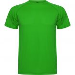 MONTECARLO VERT FOUGÈRE