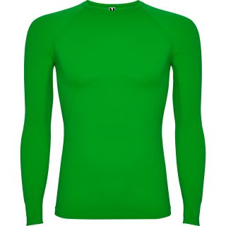 PRIME VERT FOUGÈRE