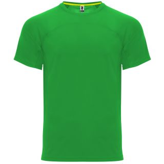MONACO VERT FOUGÈRE