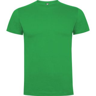 DOGO PREMIUM VERT IRLANDAIS