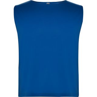 Chasuble dossard training unisexe AJAX BLEU ROYAL