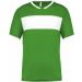 Maillot adulte polyester manches courtes PA4000 - Green / White