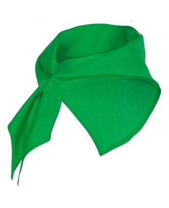 Bandana JARANERO vert irlandais